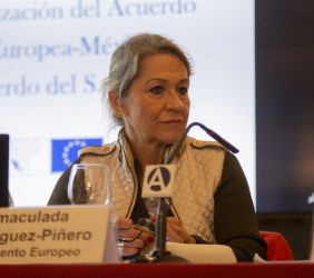 Eurodiputada Inmaculada Rodríguez-Piñero