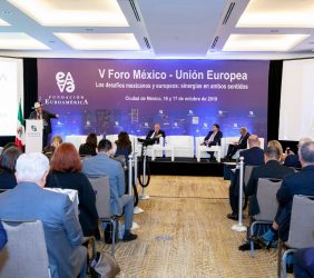público asistente V Foro México- UE