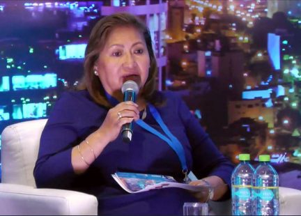 Ana María Choquehuanca, Presidenta de la Asociación de Gremios de la Pequeña Empresa del Perú – Asociación PyME Perú