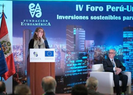 Narcisa Vladulescu, Jefa de la Sección Política de la Delegación de la Unión Europea en Perú