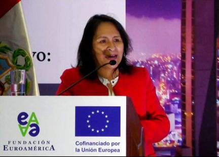 Marilú Celestina Chahua Torres De Ricalde, Viceministra de Gestión Ambiental