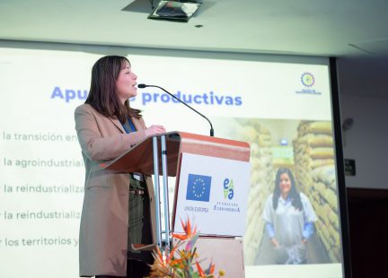 Viceministra de Desarrollo Empresarial de Colombia