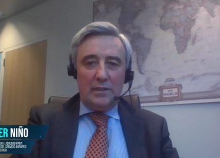 Javier Niño, Director Gerente Adjunto para las Américas del Servicio Europeo de Acción Exterior   (online)