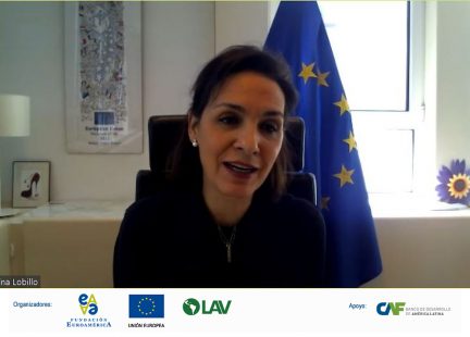 Palabras de Cristina Lobillo, Directora Task Force de la Plataforma Energética y Relaciones Internacionales, DG Energía, Comisión Europea