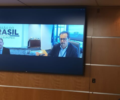 Paolo Garzotti, Jefe Unidad para América Latina y el Caribe de la Dirección General de Comercio, Comisión Europea (online)