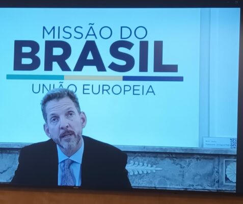 Pedro Miguel da Costa e Silva, Embajador de Brasil ante la Unión Europea (online)