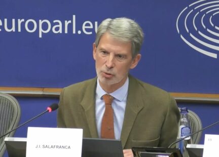 José Ignacio Salafranca, Vicepresidente Primero de la Fundación Euroamérica