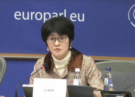 Setsuko Saya, Directora adjunta del Centro de Desarrollo de la OCDE