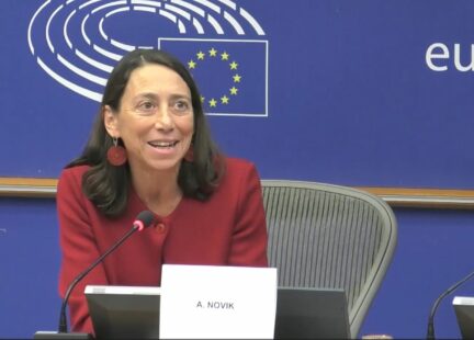 Ana Novik, Jefa de División para la Inversión, Directorado de Asuntos Financieros y Empresariales, OCDE