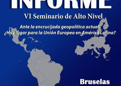 Informe VI Seminario de Alto Nivel en el Parlamento Europeo.