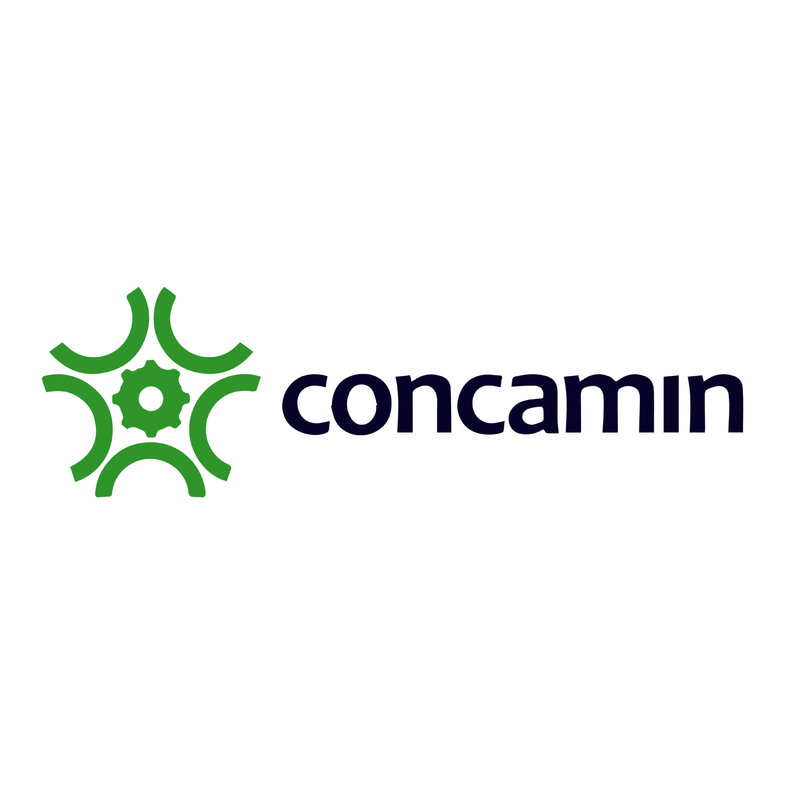 Logo Concamin